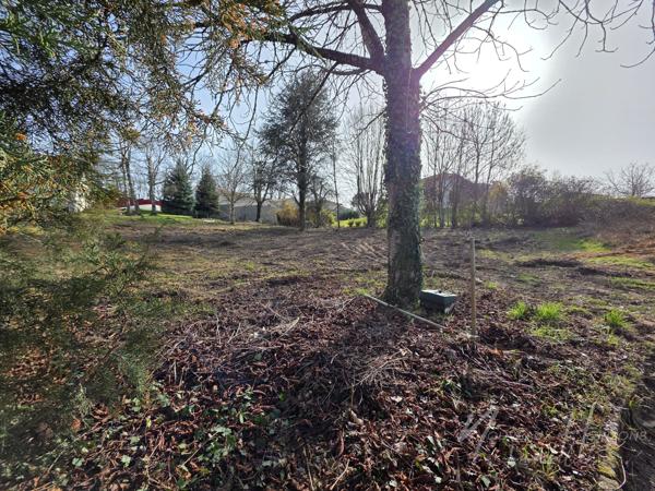 Terrain - 1076 m² Exclusivité efficity