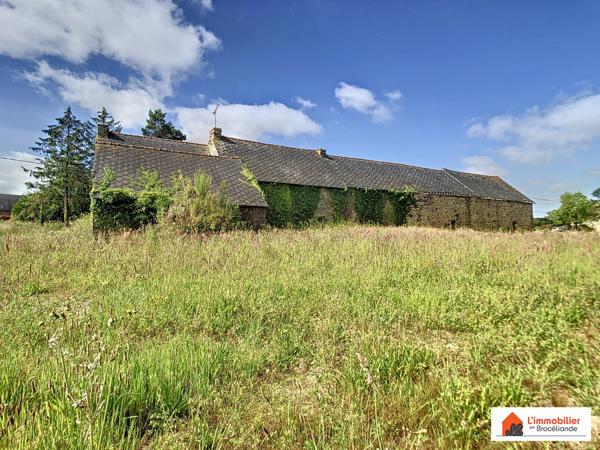 Longère à rénover sur plus de 1 100m²