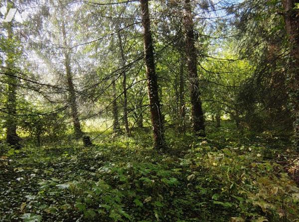  NOUVEAUTE en EXCLUSIVITE - Terrain de loisirs avec chalet