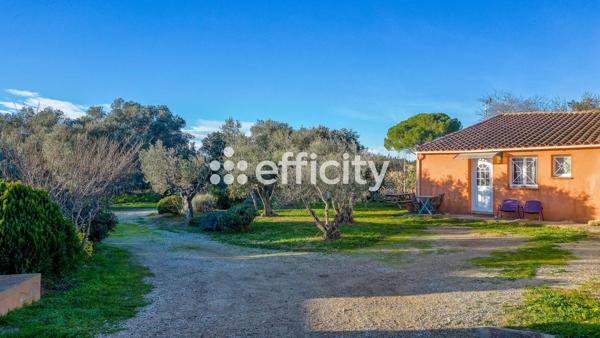 Maison 2 pièces - 40 m² Exclusivité