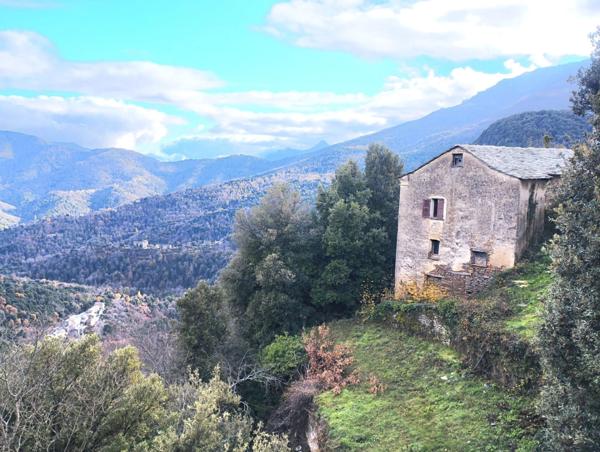 Maison en pierre 7 pièces, 120 m2 + caves, à rénover entièrement à PIE D'OREZZA, Campodonico (HAUTE CORSE)