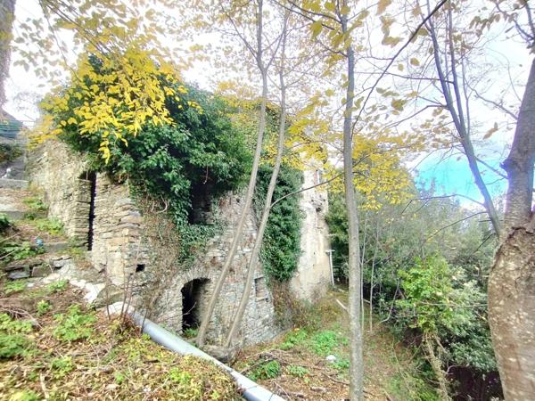 Maison en pierre 7 pièces, 120 m2 + caves, à rénover entièrement à PIE D'OREZZA, Campodonico (HAUTE CORSE)