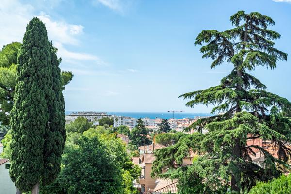 Cannes Montrose, Villa Belle époque de plus de 450 M2 sur 2240 M2 de terrain