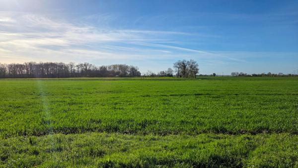 Jolie maison ancienne au calme !