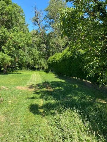 Terrain situé dans un cadre bucolique, proche des commodités.