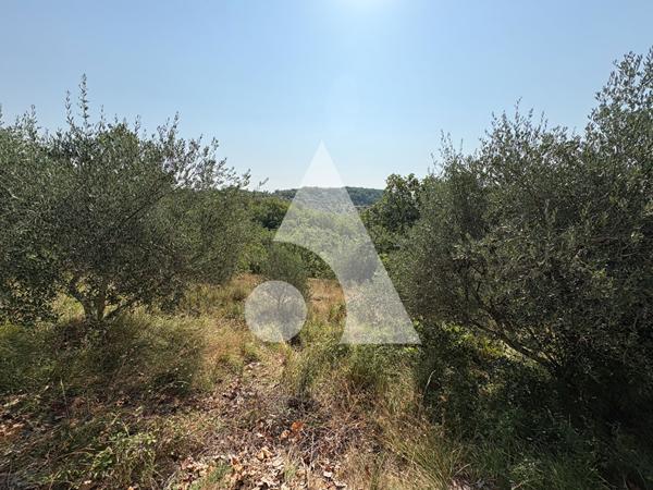 Terrain 2970 m2