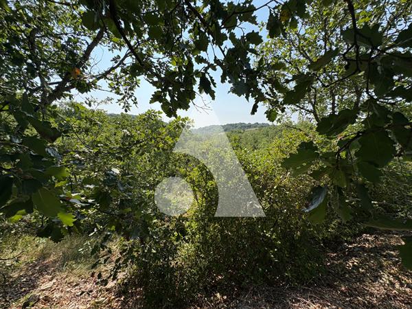 Terrain 2970 m2