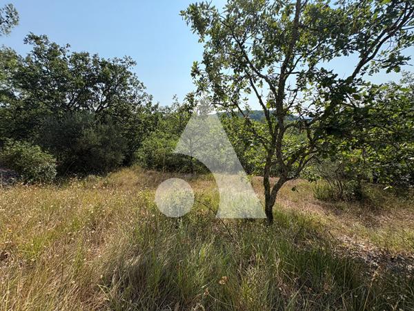 Terrain 2970 m2