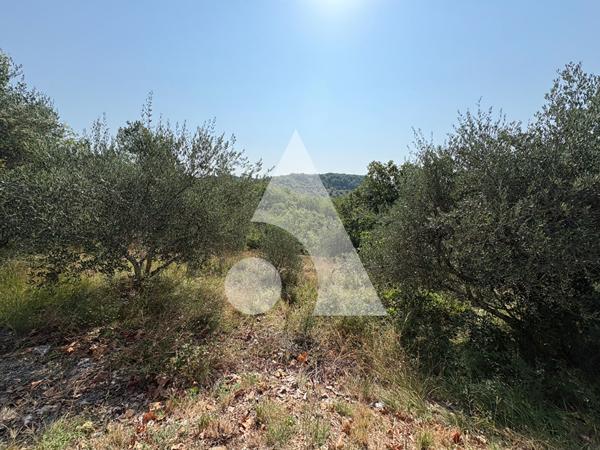 Terrain 2970 m2