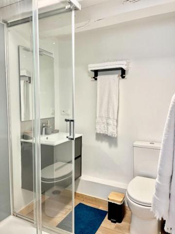 Maison Morlaix 13 pièce(s) 230 m2 (HYPER CENTRE)