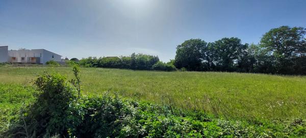 TERRAIN A BATIR "LOTISSEMENT LES LAURIERS" - LOT 5 - 643m2