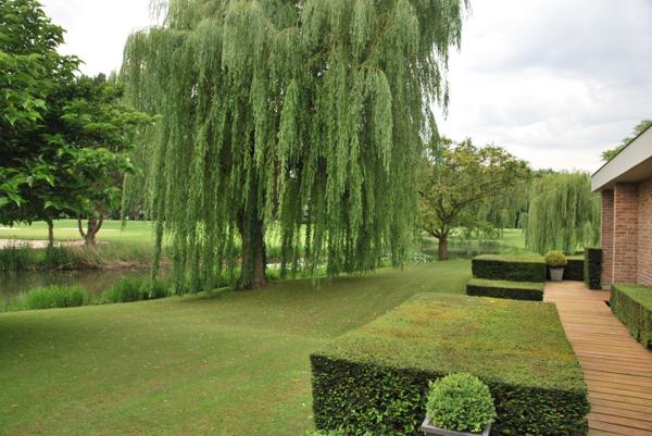 Vente Maison de luxe Villeneuve-d'Ascq 10 Pièces 392 m²