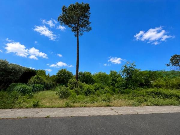 Terrain à vendre |  Biscarrosse |  1112 m²