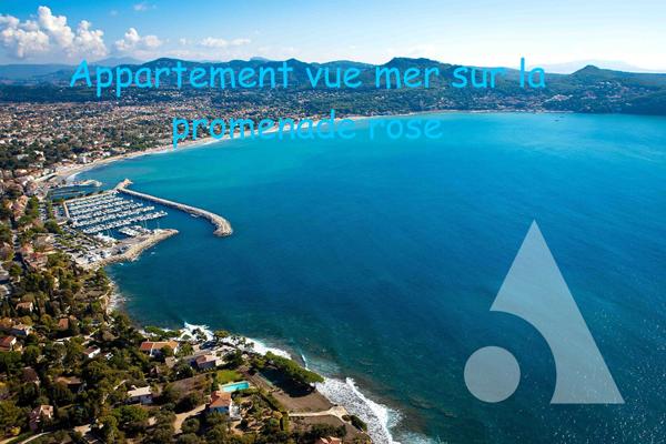 Appartement 2 pièces 42 m2