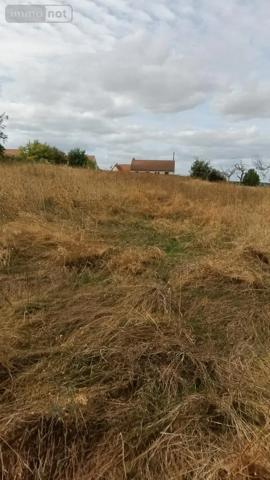 Achat - Terrain à bâtir Bonneveau 41800 200 m 2 2225 m 2