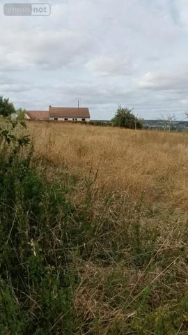 Achat - Terrain à bâtir Bonneveau 41800 200 m 2 2225 m 2