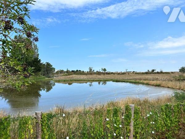 Vue marais