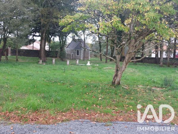 Maison (prestige) à vendre 15 pièces 325 m² Les Sorinières