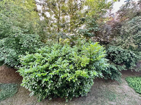 Appartement Orleans 4 pièces proche des Bords de Loire