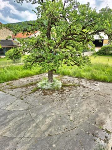 Maison à vendre 5 pièces  (39)