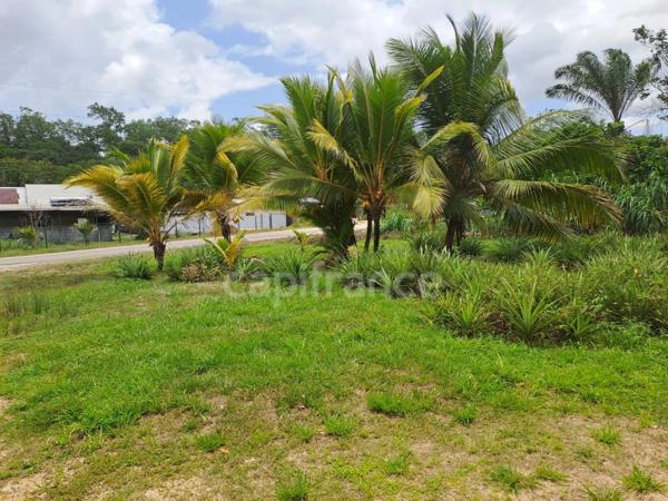 Dpt Guyane (973), à vendre maison P8 de 300 m²