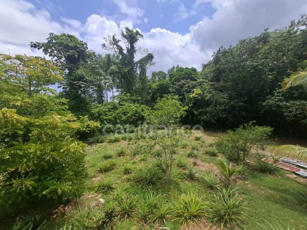 Dpt Guyane (973), à vendre maison P8 de 300 m²