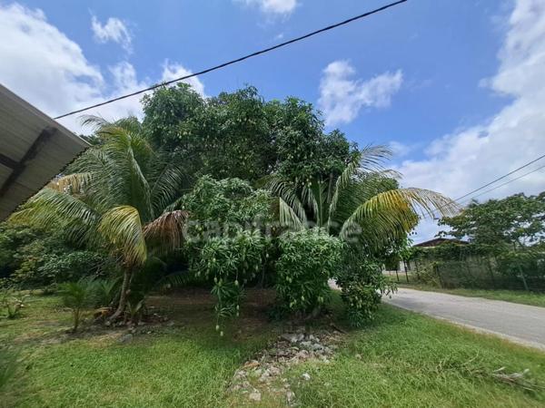 Dpt Guyane (973), à vendre maison P8 de 300 m²