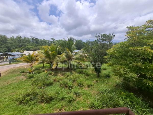 Dpt Guyane (973), à vendre maison P8 de 300 m²