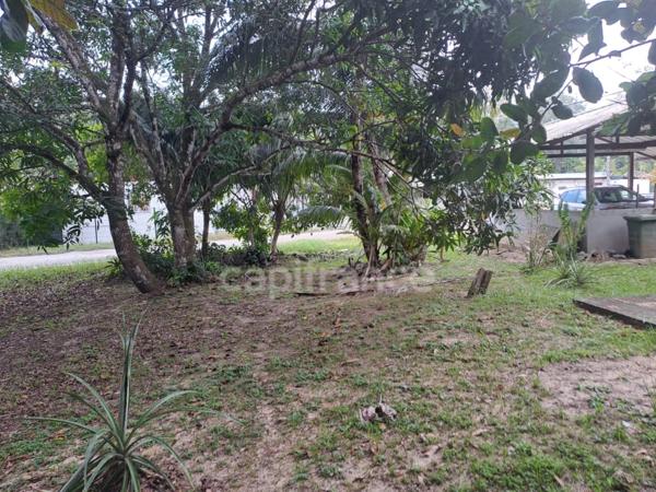 Dpt Guyane (973), à vendre maison P8 de 300 m²