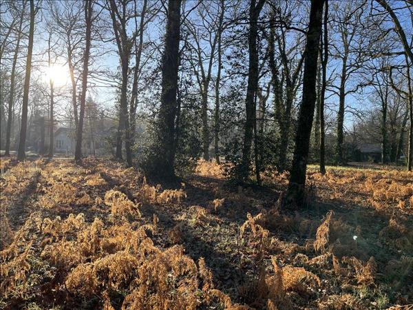 Terrain à vendre |  Grayan-et-l'Hôpital |  3537 m²