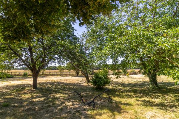 Maison Saint Christophe En Bazelle 7 pièce(s) 148 m2