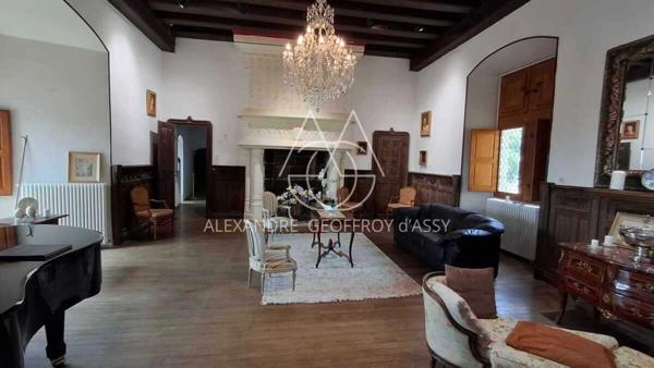 Château millénaire 16 pièces surplombant un village sur un parc de 15 ha.