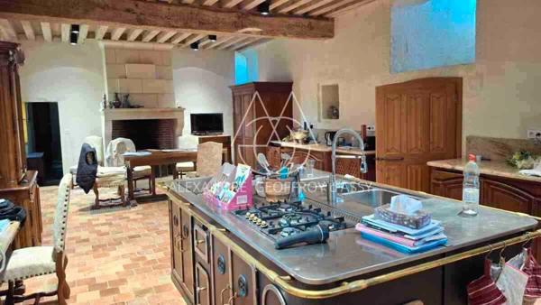 Château millénaire 16 pièces surplombant un village sur un parc de 15 ha.