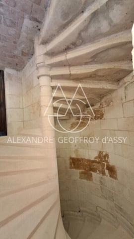 Château millénaire 16 pièces surplombant un village sur un parc de 15 ha.