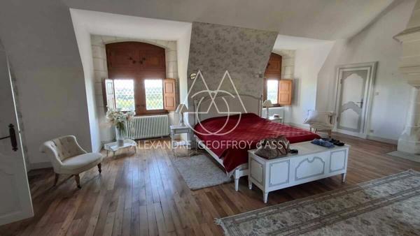 Château millénaire 16 pièces surplombant un village sur un parc de 15 ha.