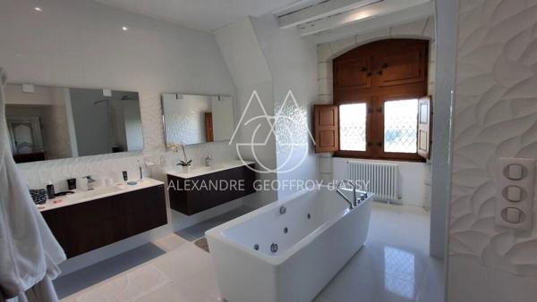 Château millénaire 16 pièces surplombant un village sur un parc de 15 ha.