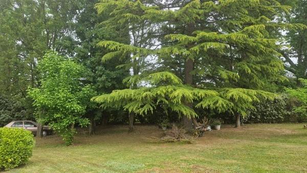 Maison 115 626 € La Réole 4 p 110 m² DPE E