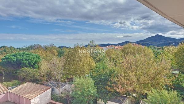 Magnifique Appartement en duplex 3 pièces au dernier étage sur Argeles Sur Mer plage