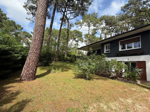 Villa familiale entre forêt et lumière Pyla-sur-Mer