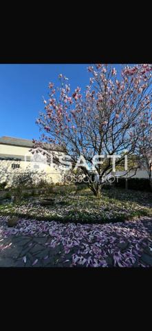 Maison 120 m2 Avrillé