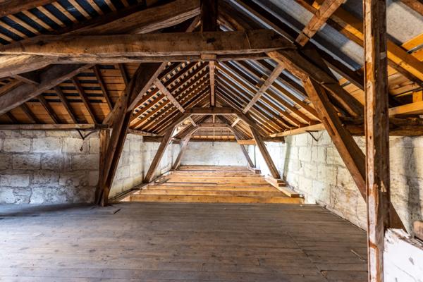 Saumur centre - Maison de caractère de 346 m², 7 chambres, dépendances et jardin.