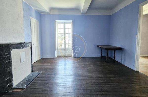 Propriete à vendre 14 pièces SAVENNIERES (49)