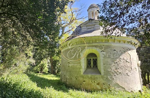 Propriete à vendre 14 pièces SAVENNIERES (49)