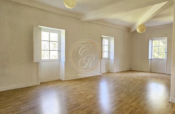 Propriete à vendre 14 pièces SAVENNIERES (49)