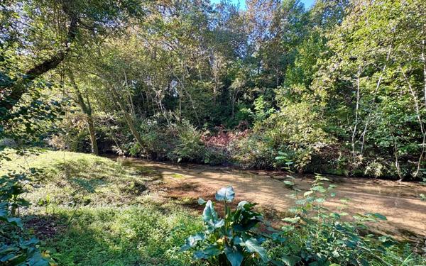 Maison à vendre    8 pièces •  Soustons