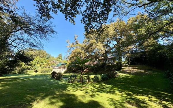 Maison à vendre    8 pièces •  Soustons