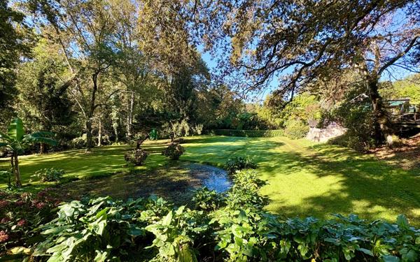 Maison à vendre    8 pièces •  Soustons