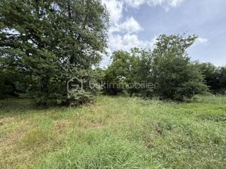 Anna Morra vous propose en exclusivité ce magnifique terrain constructible de 700 m², entièrement viabilisé, situé sur la commune de Cornebarrieu.

À proximité immédiate du centre-ville, des commerces, des écoles et des transports, cette parcelle se trouve au fond d’un lotissement intimiste de seulement 4 lots, offrant un environnement calme et résidentiel.

Clos sur trois côtés et agrémenté d’arbres, ce terrain bénéficie d’un cadre agréable et préservé, idéal pour concrétiser votre projet de construction.

Caractéristiques :
• Surface terrain : 700 m²
• Terrain entièrement viabilisé
• Surface de plancher autorisée : 140 m²
• Terrain clos sur 3 côtés
• Environnement calme et arboré
• Proche de toutes les commodités

Les atouts :
- Secteur recherché
- Lotissement à taille humaine
- Cadre de vie privilégié
- Projet de construction immédiat

Une belle opportunité à découvrir sans tarder.
Pour tout renseignement complémentaire ou organiser une visite, contactez moi au 0611326344