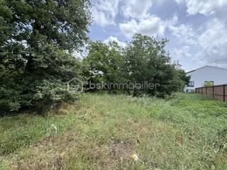 Anna Morra vous propose en exclusivité ce magnifique terrain constructible de 700 m², entièrement viabilisé, situé sur la commune de Cornebarrieu.

À proximité immédiate du centre-ville, des commerces, des écoles et des transports, cette parcelle se trouve au fond d’un lotissement intimiste de seulement 4 lots, offrant un environnement calme et résidentiel.

Clos sur trois côtés et agrémenté d’arbres, ce terrain bénéficie d’un cadre agréable et préservé, idéal pour concrétiser votre projet de construction.

Caractéristiques :
• Surface terrain : 700 m²
• Terrain entièrement viabilisé
• Surface de plancher autorisée : 140 m²
• Terrain clos sur 3 côtés
• Environnement calme et arboré
• Proche de toutes les commodités

Les atouts :
- Secteur recherché
- Lotissement à taille humaine
- Cadre de vie privilégié
- Projet de construction immédiat

Une belle opportunité à découvrir sans tarder.
Pour tout renseignement complémentaire ou organiser une visite, contactez moi au 0611326344