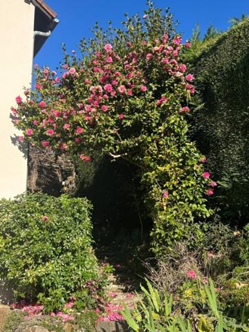 Maison à vendre 5 pièces (87)